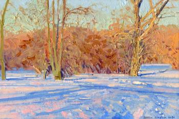 March. Sunset. Tsaritsyno Park (Snow On Trees). Kozhin Simon