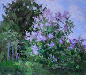 Lilac blooms. Serebrennikova Larisa