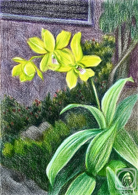 �������. �������� ������. ������. �������