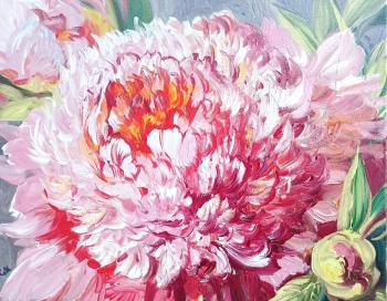 ������� ������ �����