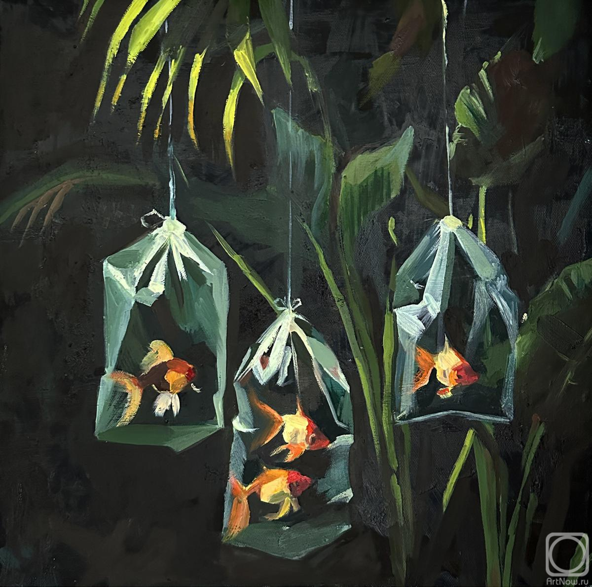 ������� ������ �� ������. �������� ���������. ���������� ����