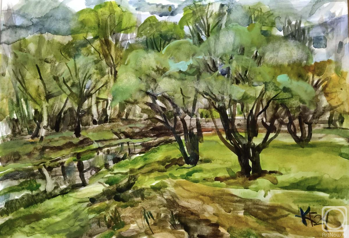 �������. �������� ������. �����������. ����� ������