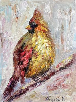 Bird gray cardinal. Tomarova Ekaterina