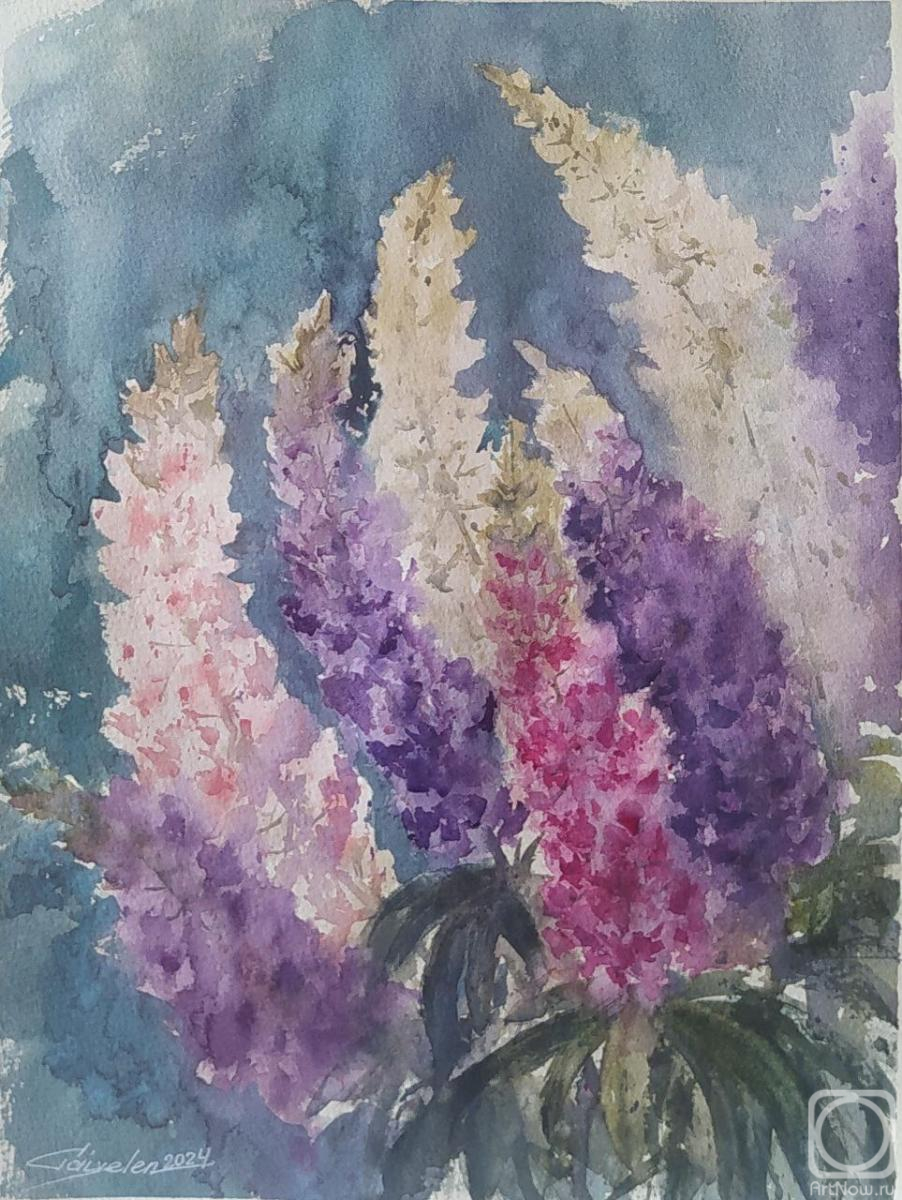 �������. ������������ �����. ������