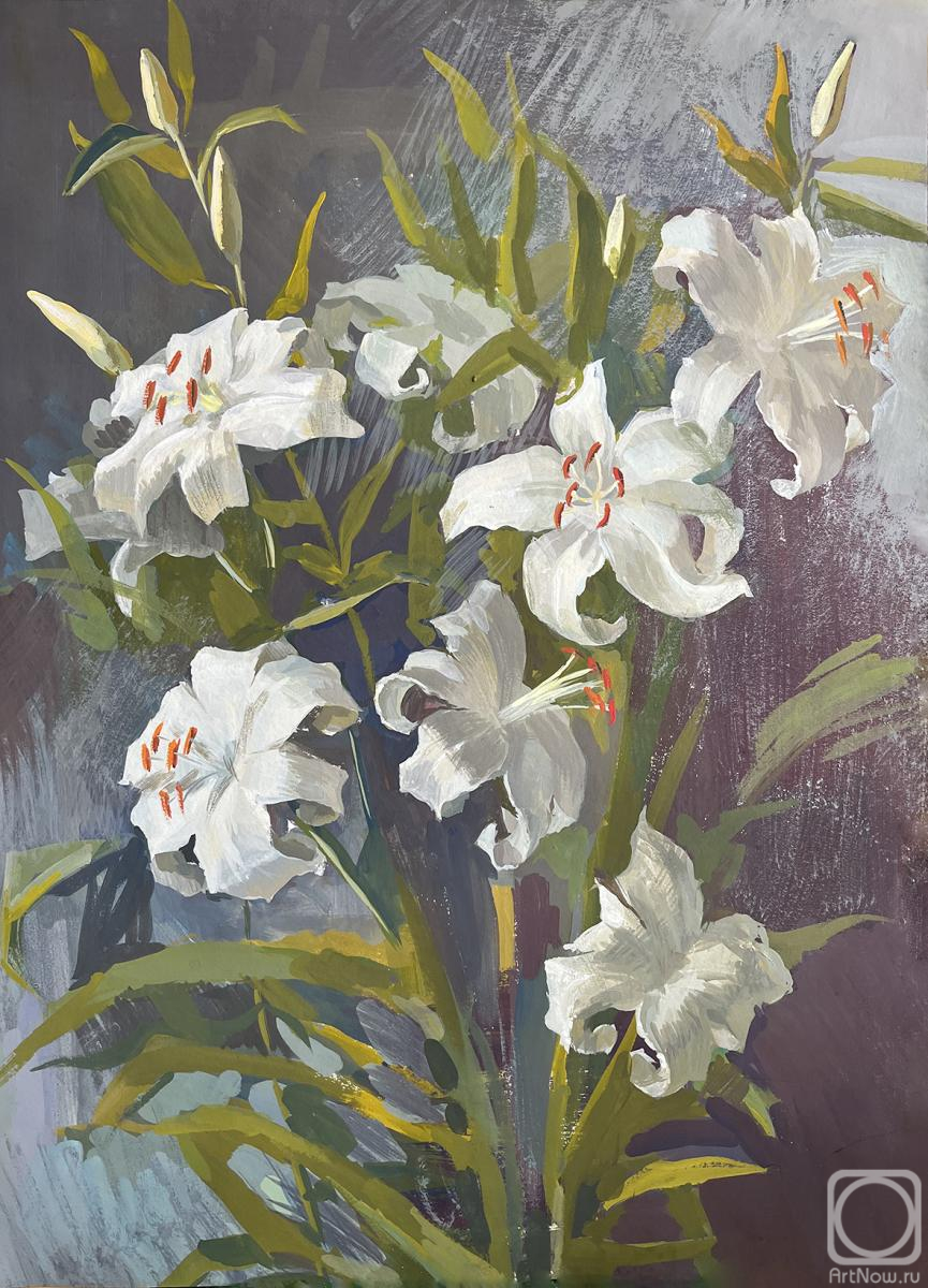 �������. �������� �����. ����� �������