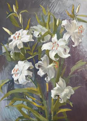 ����� �������. �������� �����