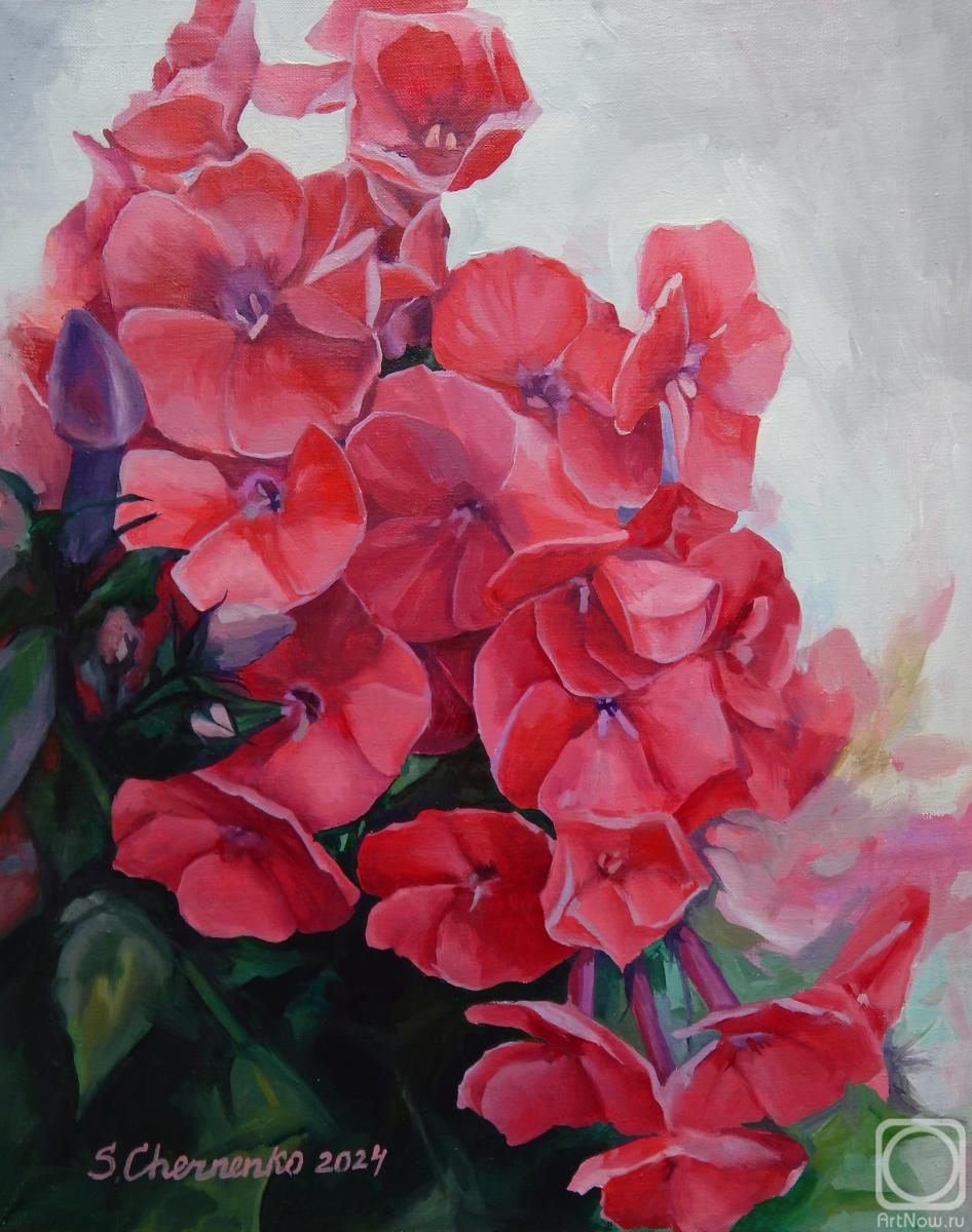 ������� ������ �� ������. �������� ��������. ������� ������