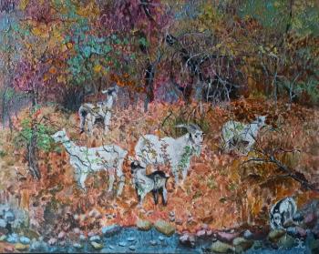 ������� ������ �������