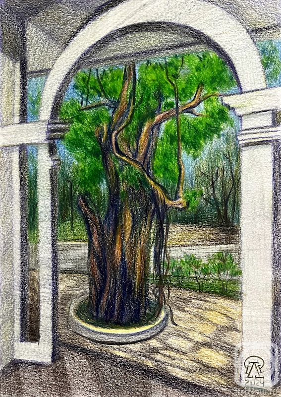 �������. �������� ������. ������. ����