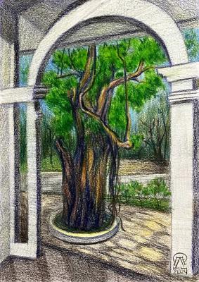 Phuket. Arch. Lukaneva Larissa