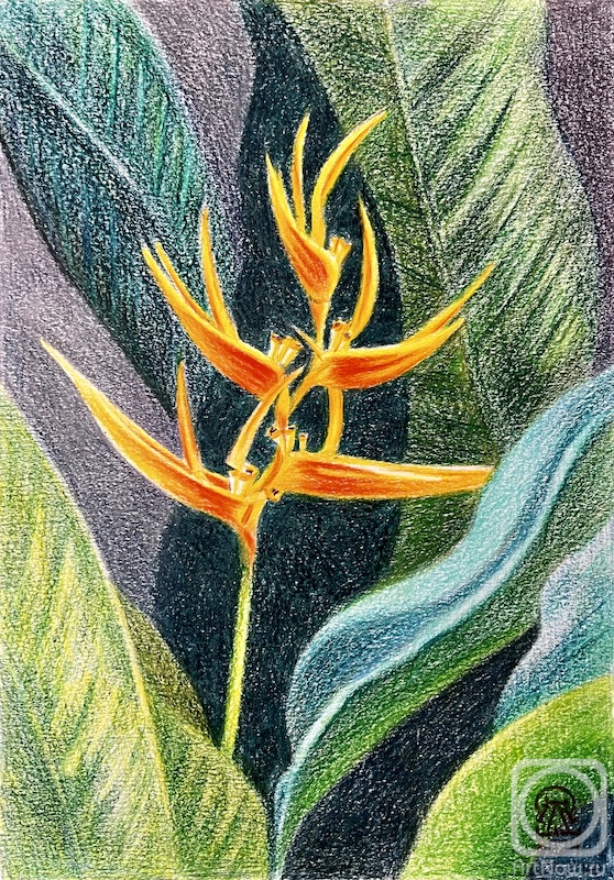 �������. �������� ������. ������. ����������� ������