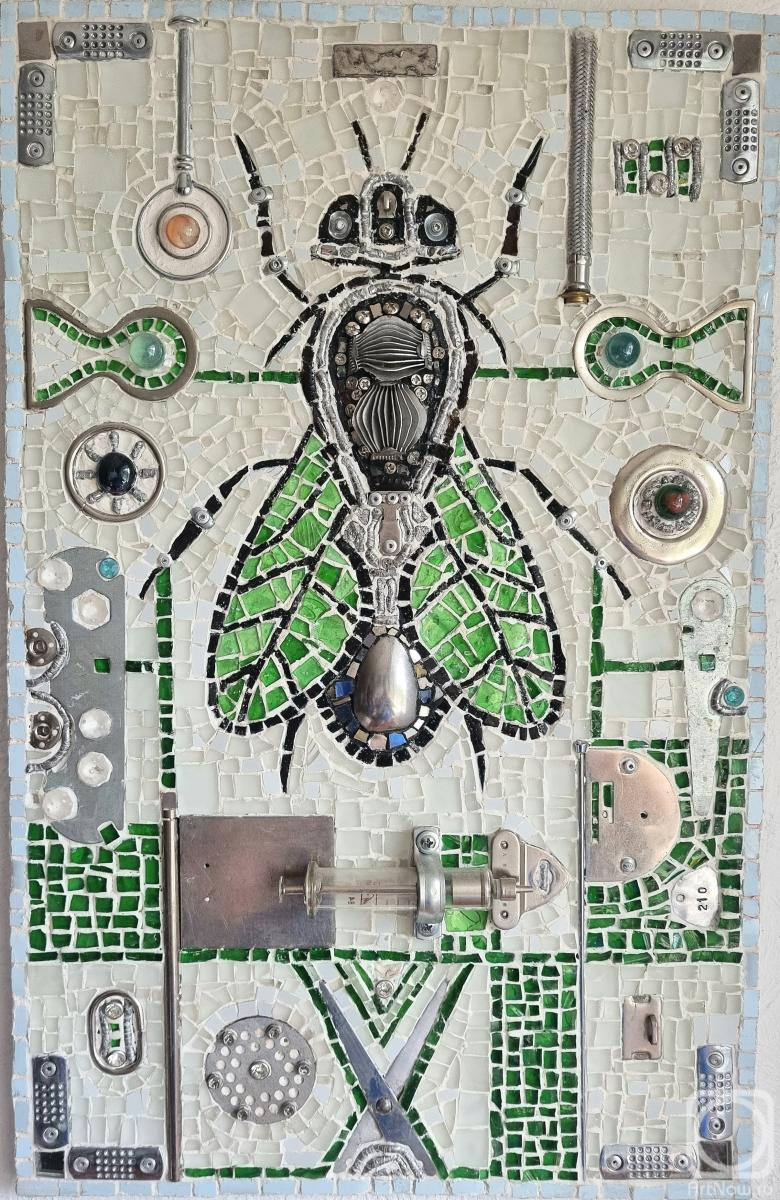 Soldatov Boris. The vaccinator fly