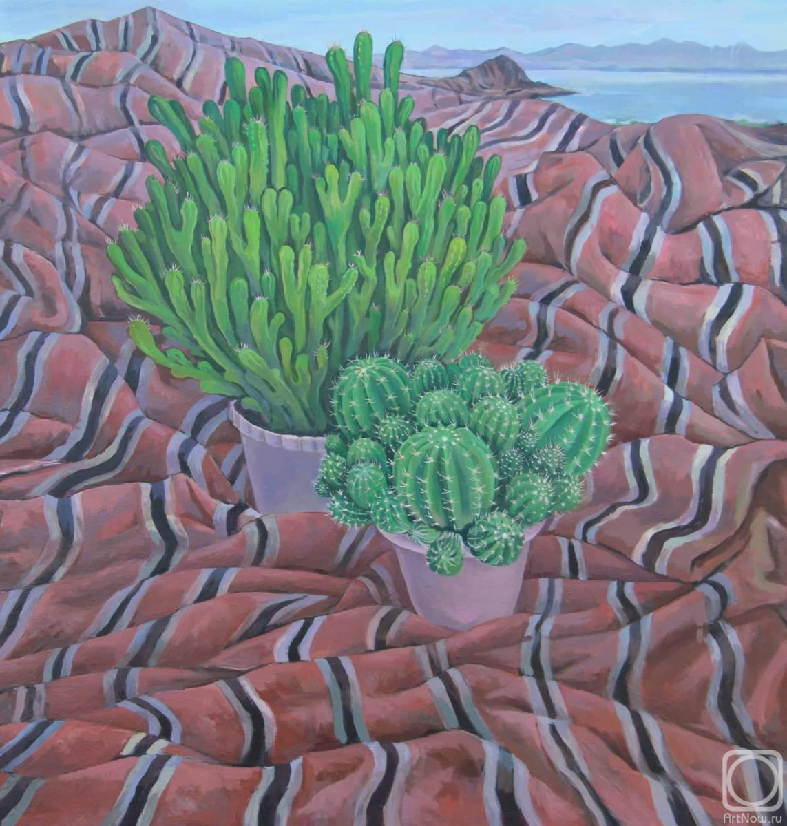 Aliismail Ali. With peace on the strip