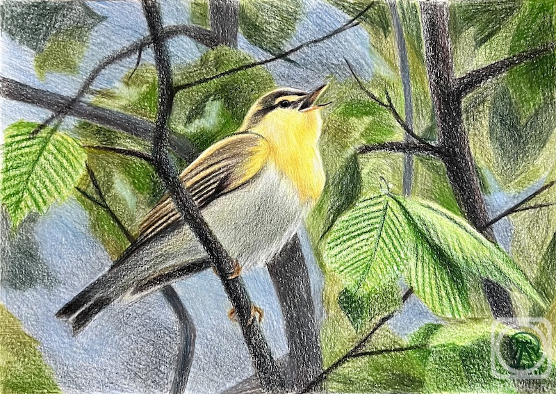 �������. �������� ������. �������