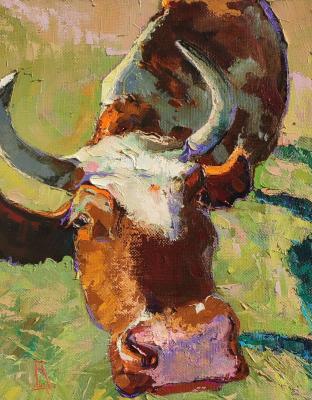 ��-�� (�����). ���������� �������