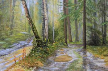 In the forest, after the rain. Gaponov Sergey