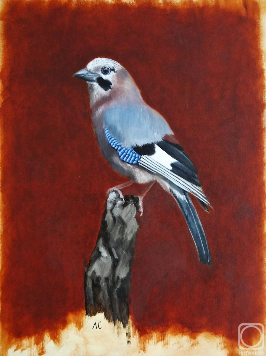 ������� ������ �� ������. �������� ������. ����� ������. �����