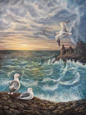 Seagulls. Borisenko Tatyana