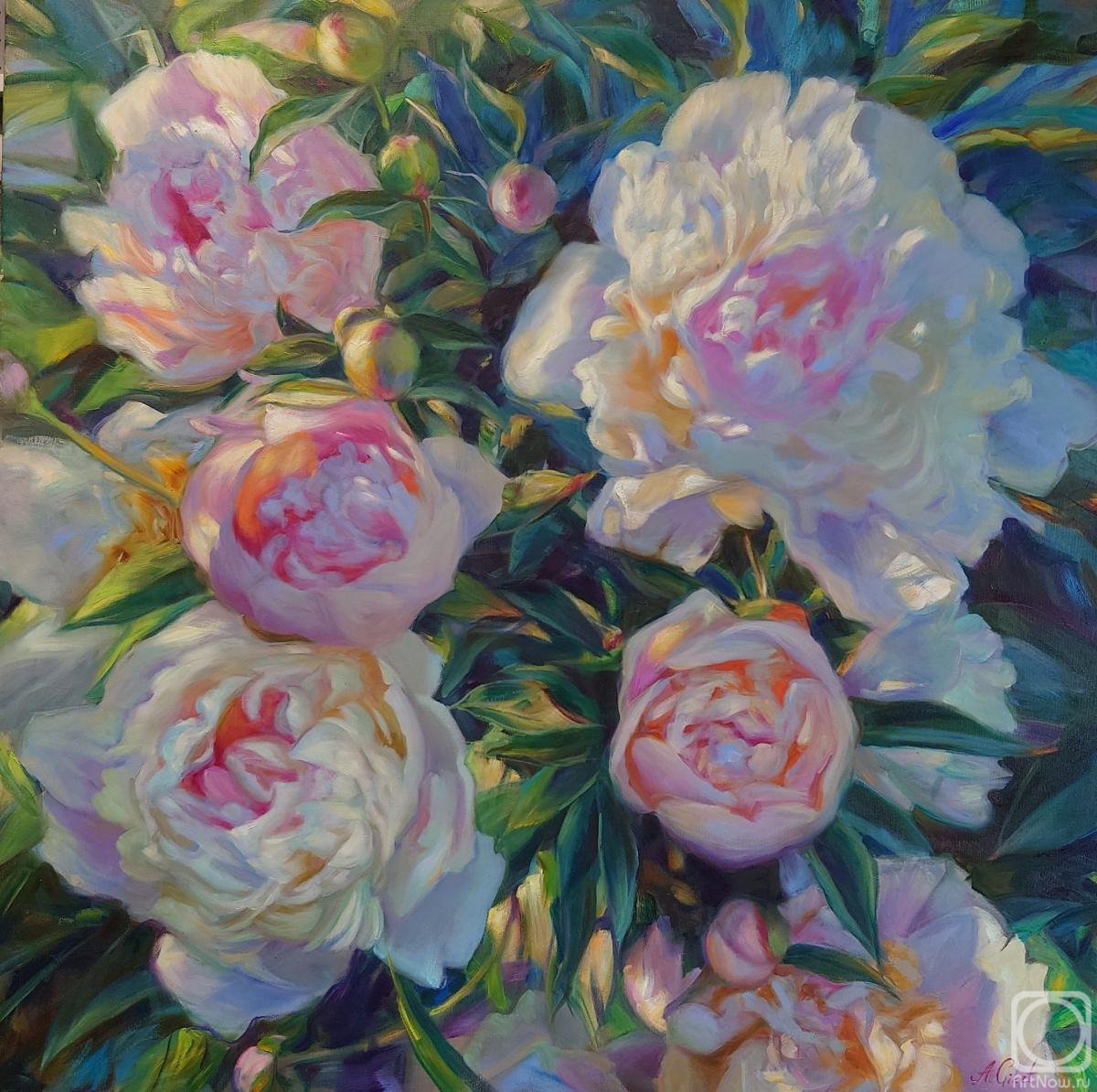 ������� ������ �� ������. ����� �����. �����