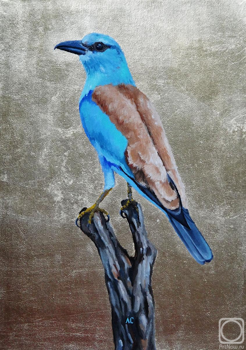 �������. �������� ������. ����� ������. �����������