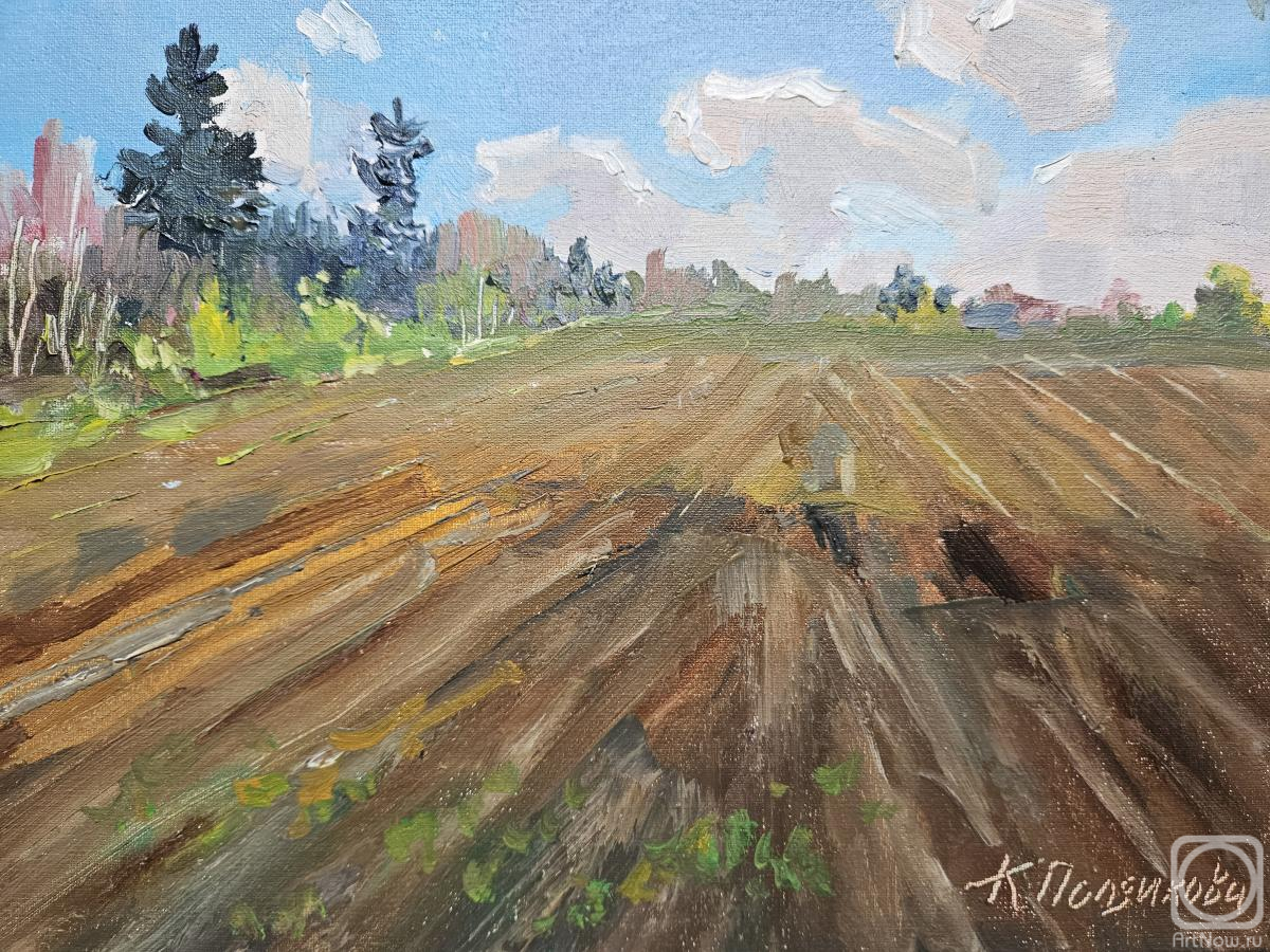 ������� ������ �� ������. ��������� ������. �����. ������������ ����