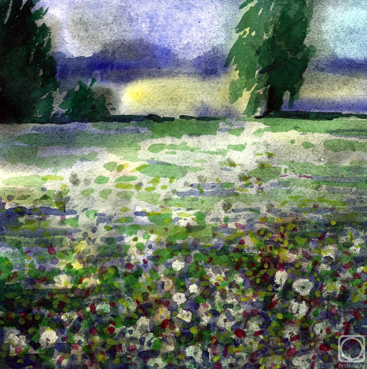 �������. ����� ���������. �������� ����