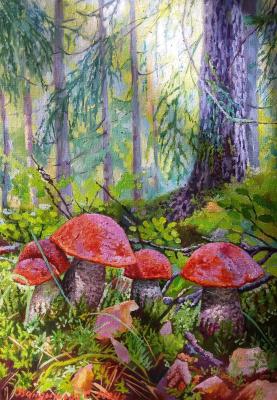 ������� ��������������