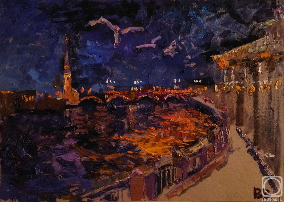 Vilkova Valentina. Seagulls over the Neva