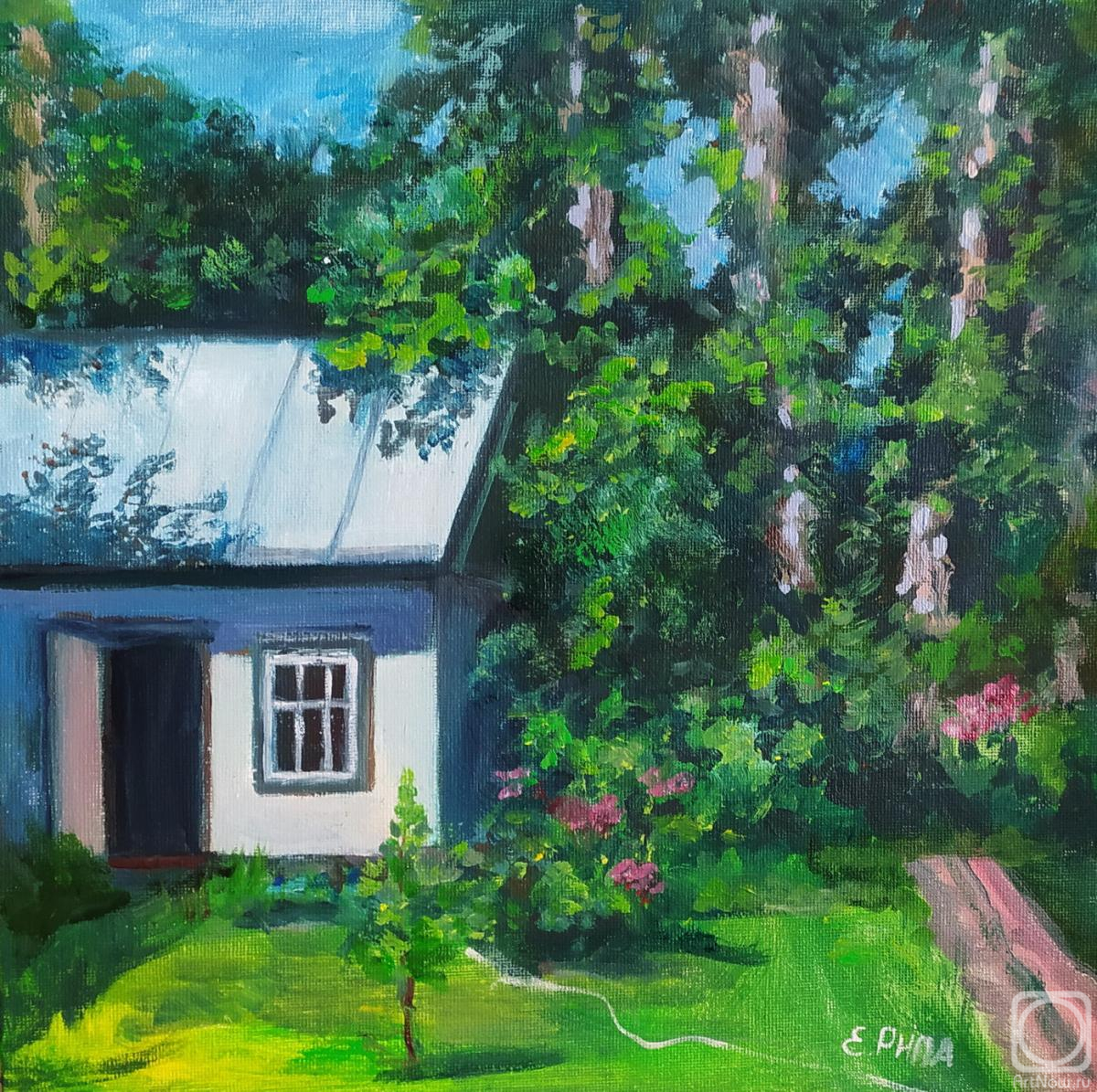 Ripa Elena. June at the cottage