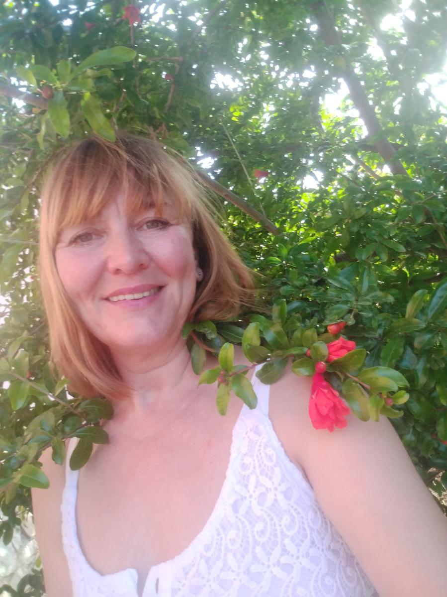 �������� ������� ����������