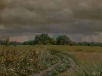 The downpour is approaching. Kosterin Sergey
