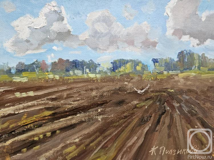 ������� ������ �� ������. ��������� ������. ������������ ����