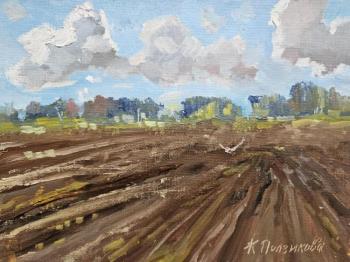 Potato fields (A Village Landscape). Polzikova Oksana
