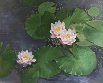 Water lilies in Foros Park. Zhukova Polina