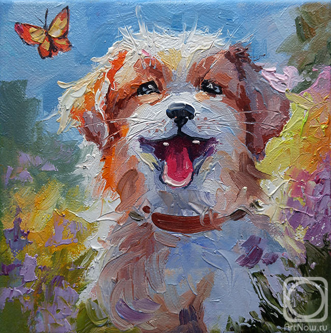 ������� ������ �� ������. ������ �����. �������� �����