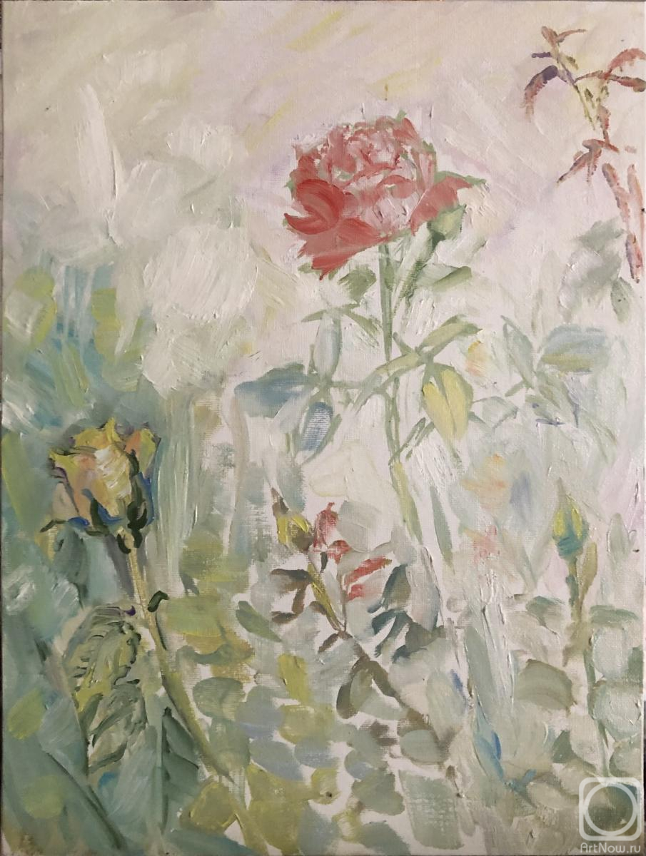 ������� ������ �� ������. ����� ������. ������� ���� � ������������� �������� � ��������