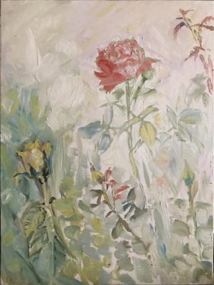 ������� �������� ���� � ������������� �������� � ��������