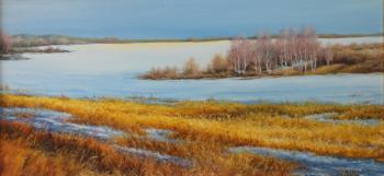 Field under snow. Kiselevich Gennadiy