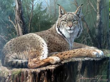 ������� ������