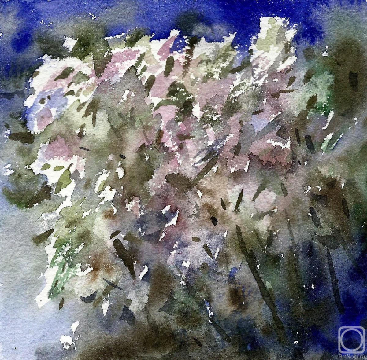 �������. ����� ���������. ������ ������