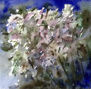 ������� ������� ������