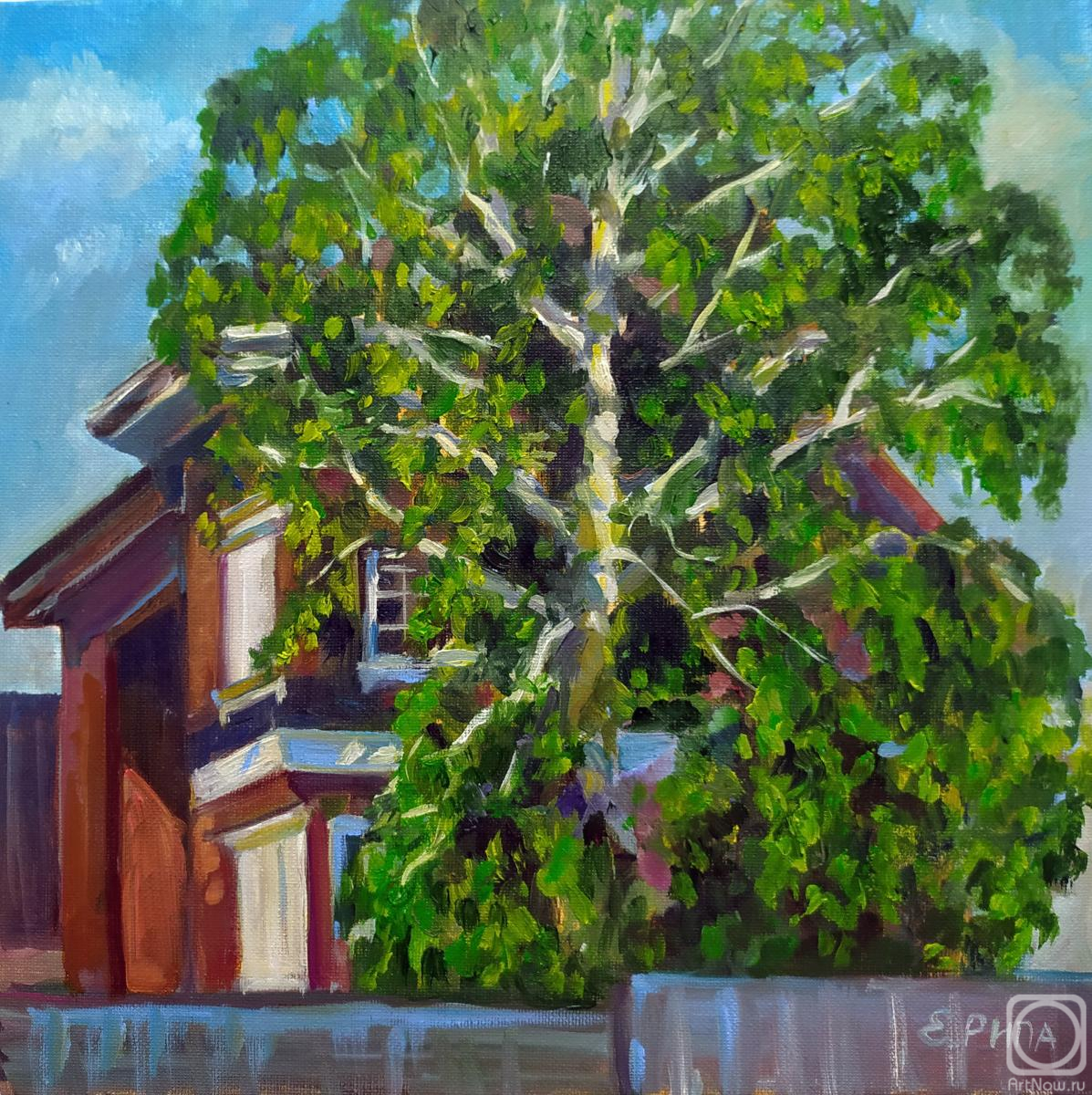 Ripa Elena. Birch at sunset