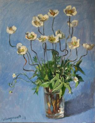 ������� �����������