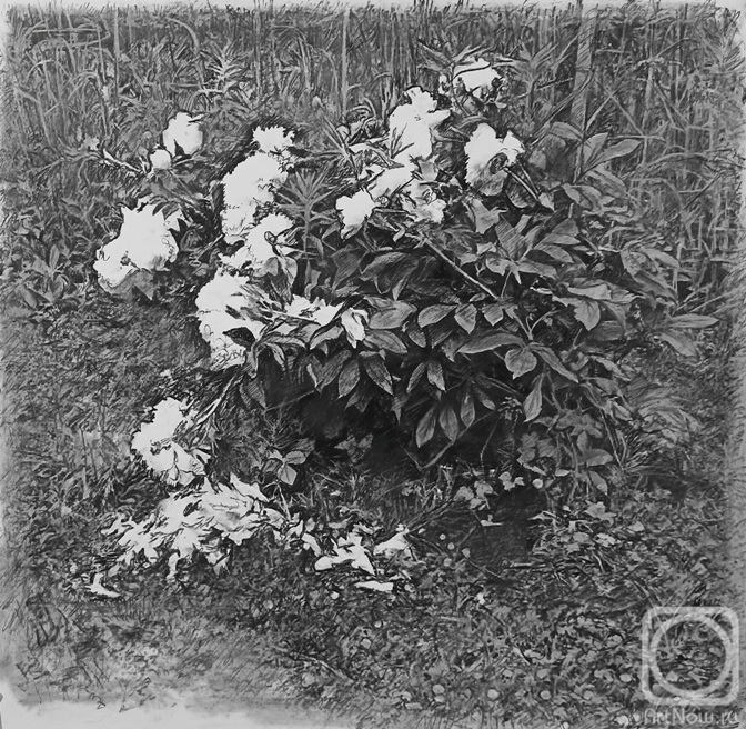 �������. ������ ������. �����