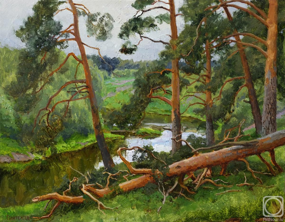 ������� ������ �� ������. ��������� ������. ������� ������