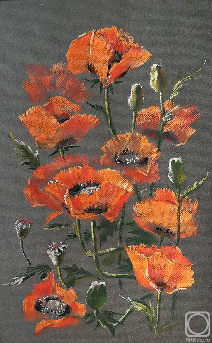 �������. �������� �����. ������� �����