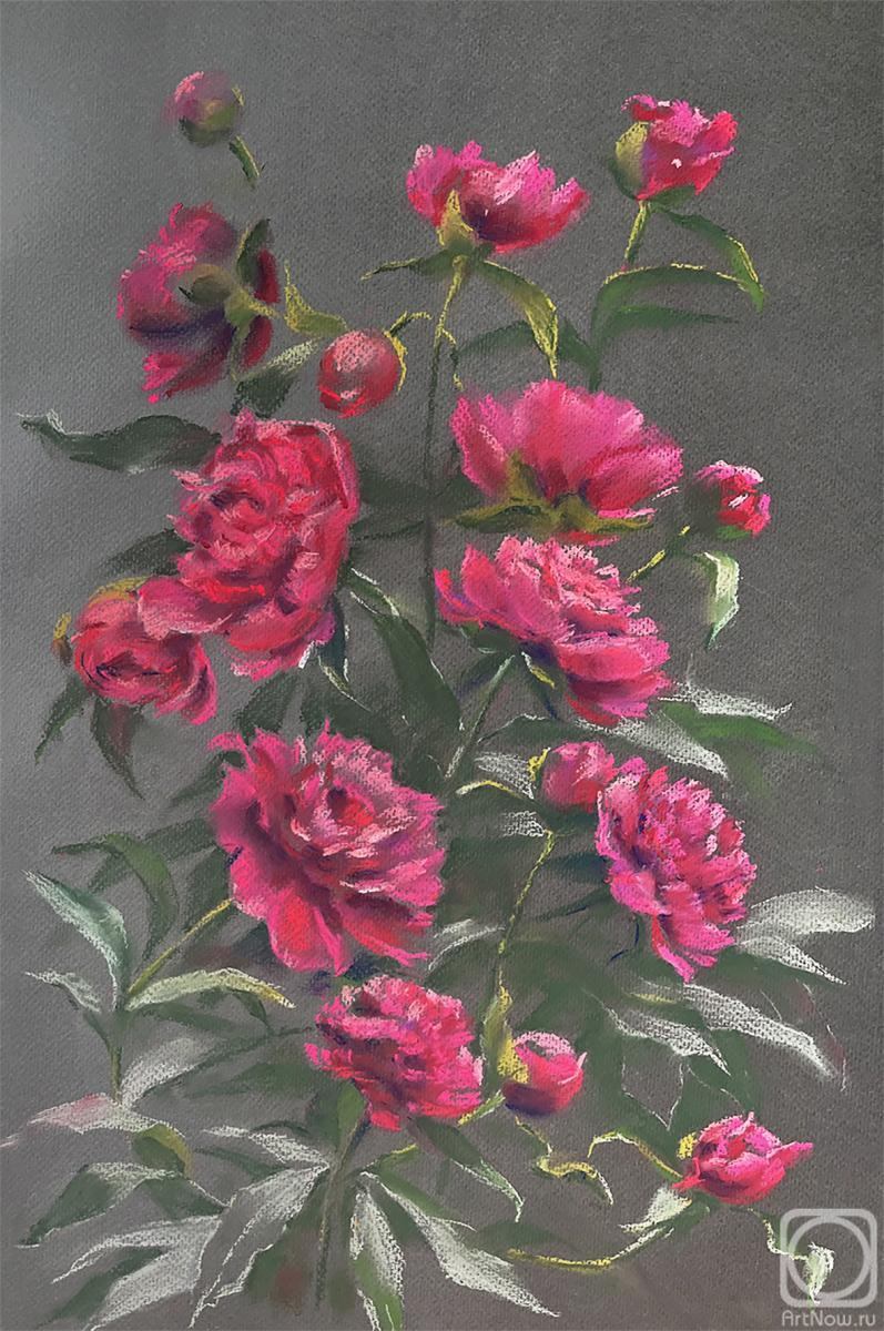 �������. �������� �����. �������� �����