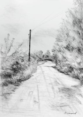Road in the village