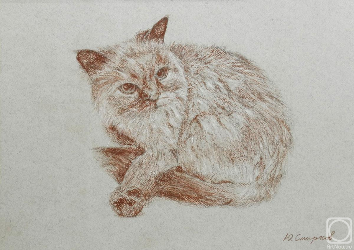 �������. ������� ����. ����