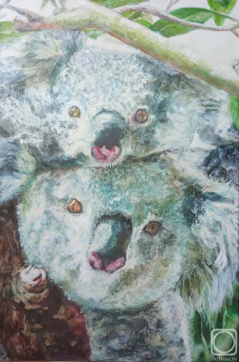 �������. ����� �������. �����